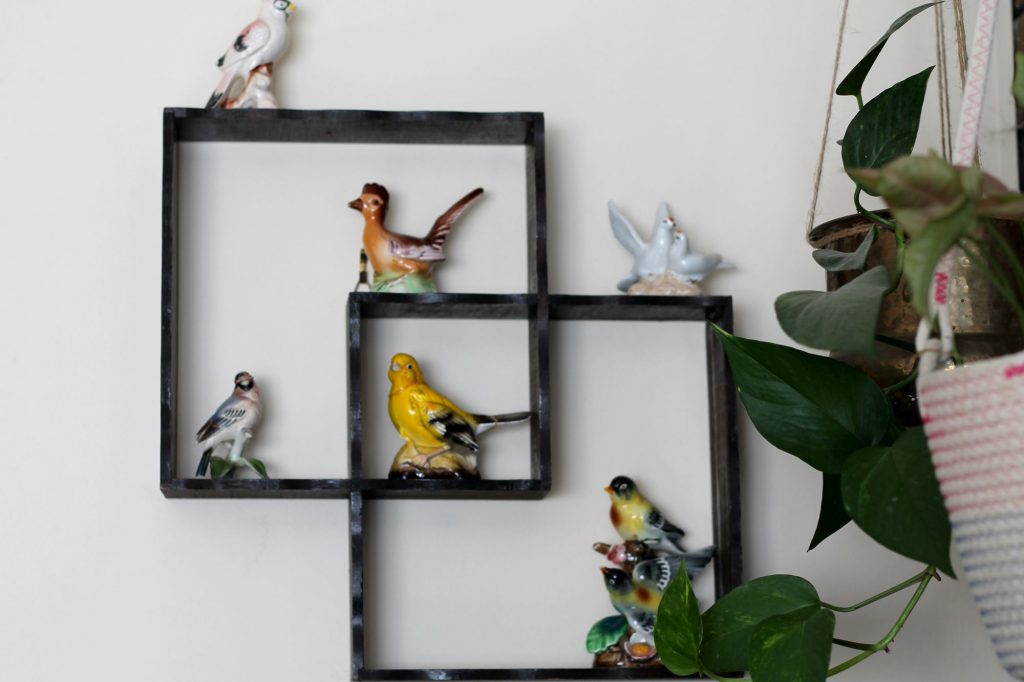 Intersecting black square wall shelves with ceramic birds on them. Hanging indoor plant on right.