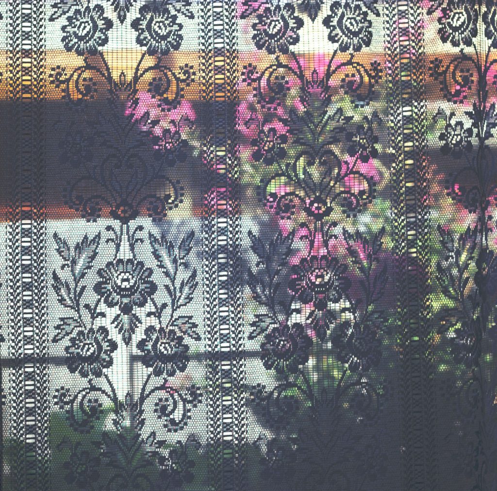 Image of garden seen through window and the black silhouette of a lace curtain.