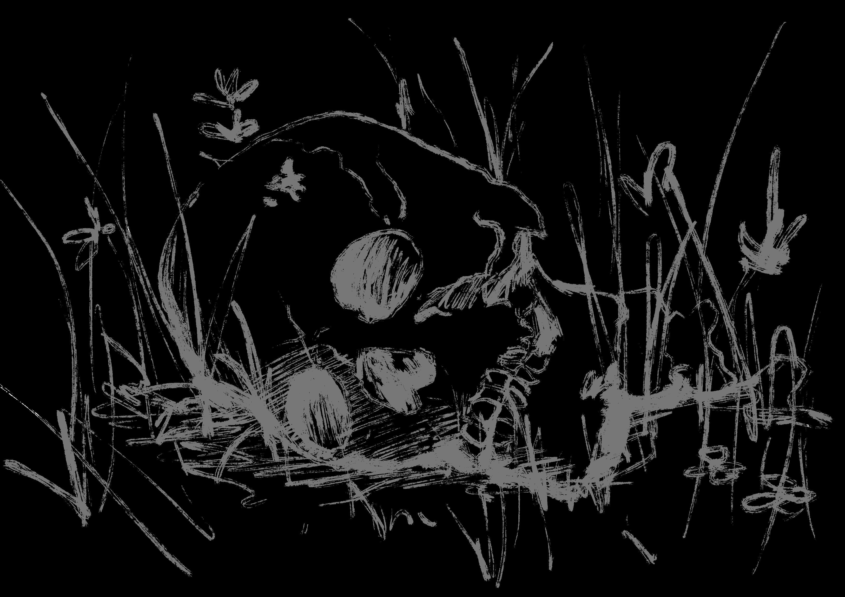 Black and grey illustration of a skull among flowers