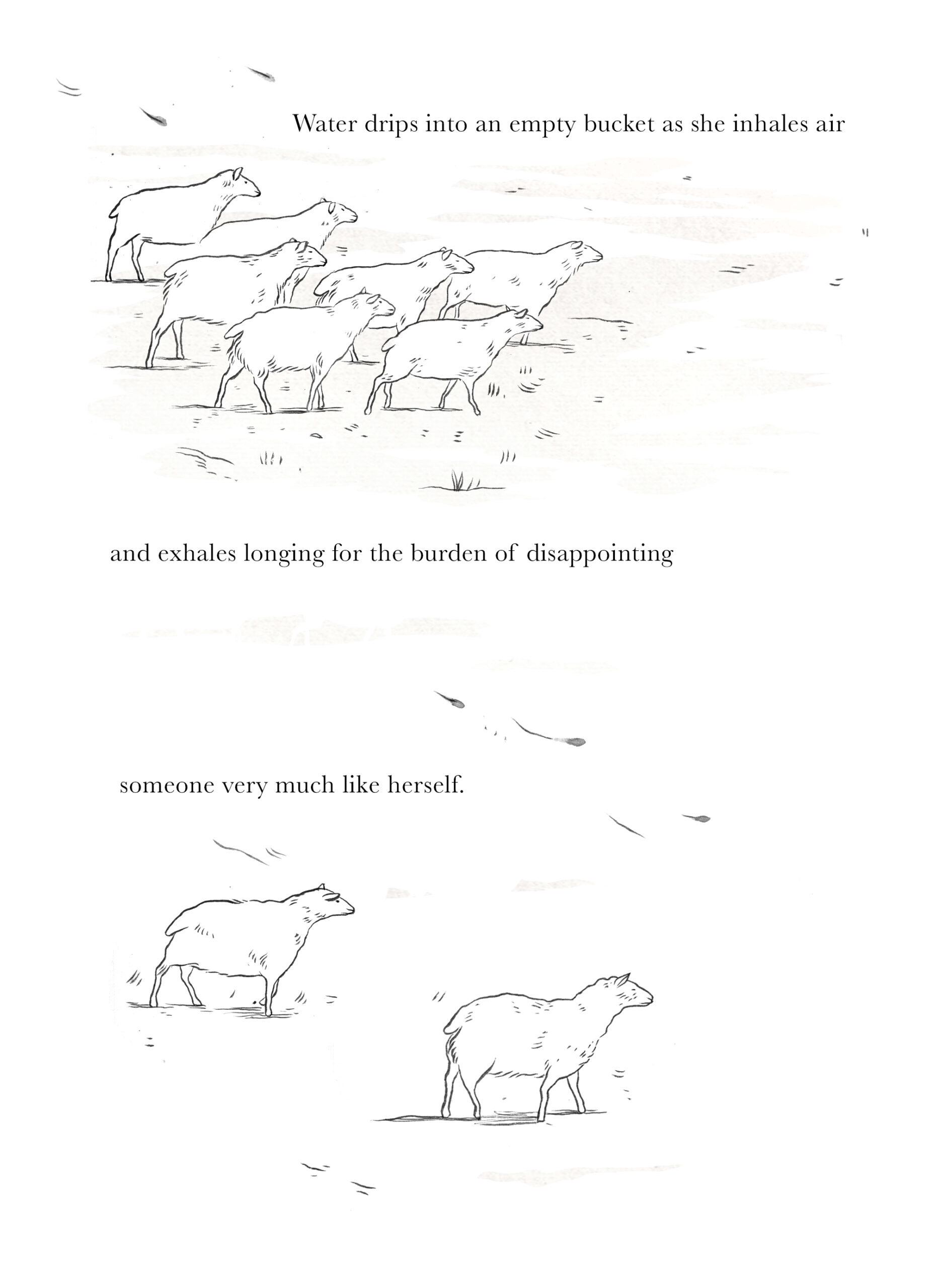 The flock appear at a distance, moving as one and fighting the wind. In the subsequent image, only two sheep move, distantly from each other, in the same direction. Text reads: Water drips into an empty bucket as he inhales air / and exhales longing for the burden of disappointing / someone very much like herself.